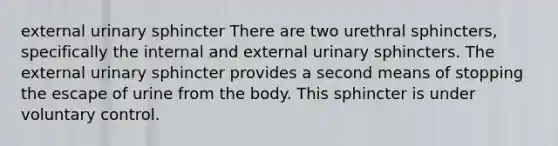 external urinary sphincter There are two urethral sphincters, specifically the internal and external urinary sphincters. The external urinary sphincter provides a second means of stopping the escape of urine from the body. This sphincter is under voluntary control.