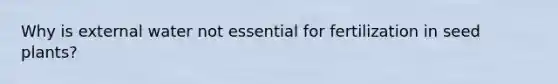 Why is external water not essential for fertilization in seed plants?
