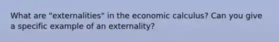 What are "externalities" in the economic calculus? Can you give a specific example of an externality?