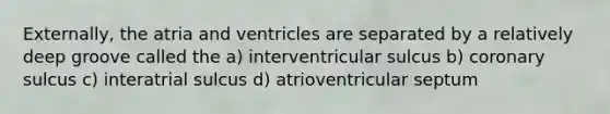 Externally, the atria and ventricles are separated by a relatively deep groove called the a) interventricular sulcus b) coronary sulcus c) interatrial sulcus d) atrioventricular septum