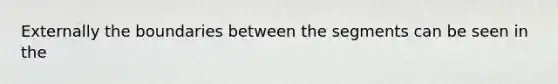 Externally the boundaries between the segments can be seen in the