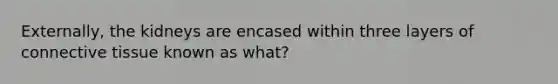 Externally, the kidneys are encased within three layers of <a href='https://www.questionai.com/knowledge/kYDr0DHyc8-connective-tissue' class='anchor-knowledge'>connective tissue</a> known as what?