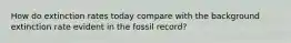 How do extinction rates today compare with the background extinction rate evident in the fossil record?