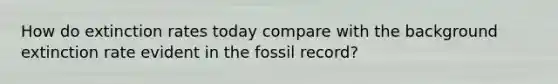 How do extinction rates today compare with the background extinction rate evident in the fossil record?