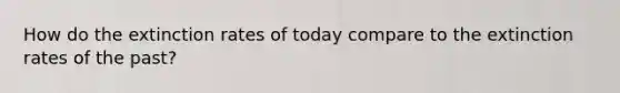 How do the extinction rates of today compare to the extinction rates of the past?