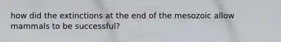 how did the extinctions at the end of the mesozoic allow mammals to be successful?