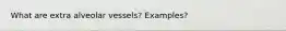 What are extra alveolar vessels? Examples?