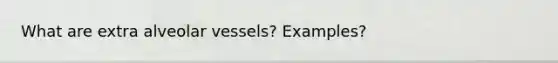 What are extra alveolar vessels? Examples?