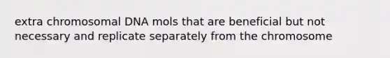 extra chromosomal DNA mols that are beneficial but not necessary and replicate separately from the chromosome
