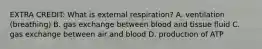 EXTRA CREDIT: What is external respiration? A. ventilation (breathing) B. gas exchange between blood and tissue fluid C. gas exchange between air and blood D. production of ATP