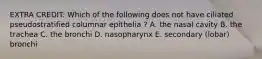 EXTRA CREDIT: Which of the following does not have ciliated pseudostratified columnar epithelia ? A. the nasal cavity B. the trachea C. the bronchi D. nasopharynx E. secondary (lobar) bronchi