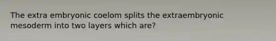 The extra embryonic coelom splits the extraembryonic mesoderm into two layers which are?