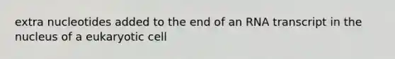 extra nucleotides added to the end of an RNA transcript in the nucleus of a eukaryotic cell