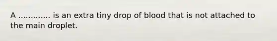 A ............. is an extra tiny drop of blood that is not attached to the main droplet.