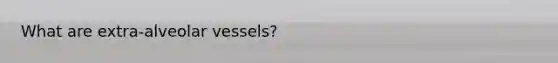 What are extra-alveolar vessels?