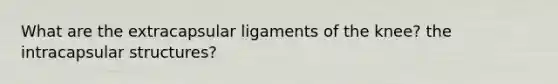 What are the extracapsular ligaments of the knee? the intracapsular structures?