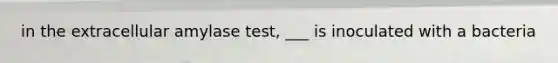 in the extracellular amylase test, ___ is inoculated with a bacteria