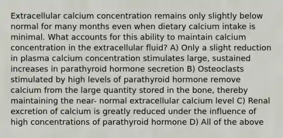 Extracellular calcium concentration remains only slightly below normal for many months even when dietary calcium intake is minimal. What accounts for this ability to maintain calcium concentration in the extracellular fluid? A) Only a slight reduction in plasma calcium concentration stimulates large, sustained increases in parathyroid hormone secretion B) Osteoclasts stimulated by high levels of parathyroid hormone remove calcium from the large quantity stored in the bone, thereby maintaining the near- normal extracellular calcium level C) Renal excretion of calcium is greatly reduced under the influence of high concentrations of parathyroid hormone D) All of the above