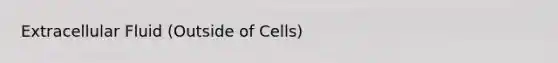 Extracellular Fluid (Outside of Cells)