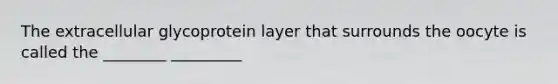 The extracellular glycoprotein layer that surrounds the oocyte is called the ________ _________