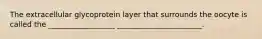 The extracellular glycoprotein layer that surrounds the oocyte is called the __________________ _______________________.