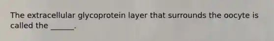 The extracellular glycoprotein layer that surrounds the oocyte is called the ______.