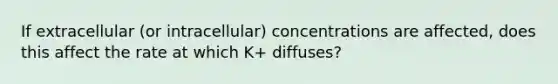 If extracellular (or intracellular) concentrations are affected, does this affect the rate at which K+ diffuses?