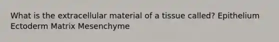 What is the extracellular material of a tissue called? Epithelium Ectoderm Matrix Mesenchyme