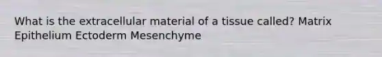 What is the extracellular material of a tissue called? Matrix Epithelium Ectoderm Mesenchyme