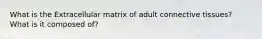 What is the Extracellular matrix of adult connective tissues? What is it composed of?