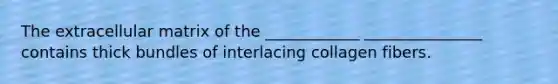 The extracellular matrix of the ____________ _______________ contains thick bundles of interlacing collagen fibers.