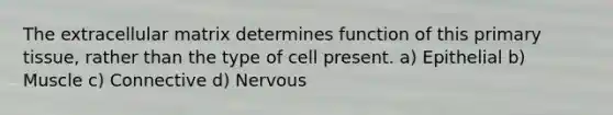 The extracellular matrix determines function of this primary tissue, rather than the type of cell present. a) Epithelial b) Muscle c) Connective d) Nervous