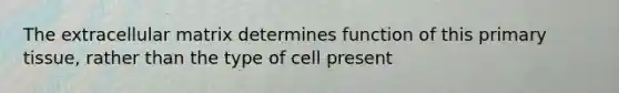 The extracellular matrix determines function of this primary tissue, rather than the type of cell present