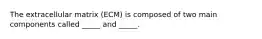 The extracellular matrix (ECM) is composed of two main components called _____ and _____.