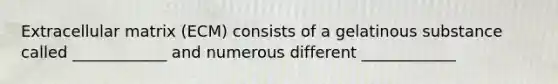 Extracellular matrix (ECM) consists of a gelatinous substance called ____________ and numerous different ____________