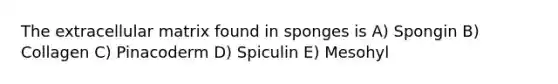 The extracellular matrix found in sponges is A) Spongin B) Collagen C) Pinacoderm D) Spiculin E) Mesohyl