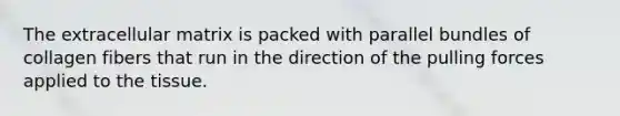The extracellular matrix is packed with parallel bundles of collagen fibers that run in the direction of the pulling forces applied to the tissue.