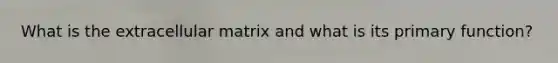 What is the extracellular matrix and what is its primary function?