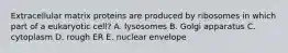 Extracellular matrix proteins are produced by ribosomes in which part of a eukaryotic cell? A. lysosomes B. Golgi apparatus C. cytoplasm D. rough ER E. nuclear envelope