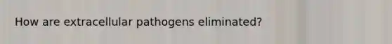 How are extracellular pathogens eliminated?