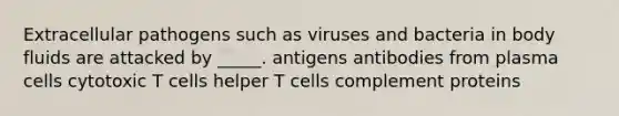 Extracellular pathogens such as viruses and bacteria in body fluids are attacked by _____. antigens antibodies from plasma cells cytotoxic T cells helper T cells complement proteins