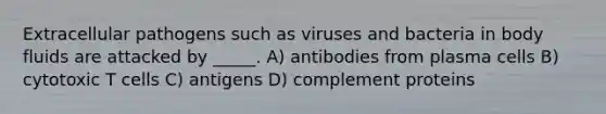 Extracellular pathogens such as viruses and bacteria in body fluids are attacked by _____. A) antibodies from plasma cells B) cytotoxic T cells C) antigens D) complement proteins