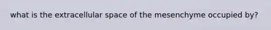 what is the extracellular space of the mesenchyme occupied by?