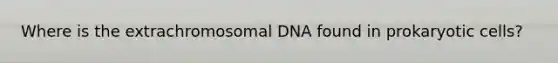 Where is the extrachromosomal DNA found in prokaryotic cells?