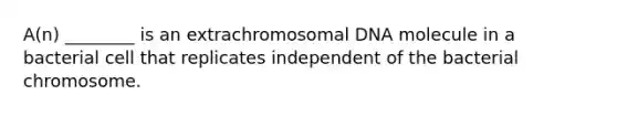 A(n) ________ is an extrachromosomal DNA molecule in a bacterial cell that replicates independent of the bacterial chromosome.