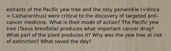 extracts of the Pacific yew tree and the rosy periwinkle (=Vinca = Catharanthus) were critical to the discovery of targeted anti-cancer medicine. What is their mode of action? The Pacific yew tree (Taxus brevifolia) produces what important cancer drug? What part of the plant produces it? Why was the yew tree at risk of extinction? What saved the day?