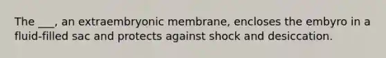 The ___, an extraembryonic membrane, encloses the embyro in a fluid-filled sac and protects against shock and desiccation.