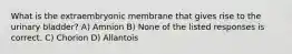 What is the extraembryonic membrane that gives rise to the urinary bladder? A) Amnion B) None of the listed responses is correct. C) Chorion D) Allantois