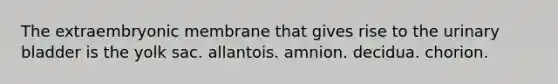 The extraembryonic membrane that gives rise to the <a href='https://www.questionai.com/knowledge/kb9SdfFdD9-urinary-bladder' class='anchor-knowledge'>urinary bladder</a> is the yolk sac. allantois. amnion. decidua. chorion.
