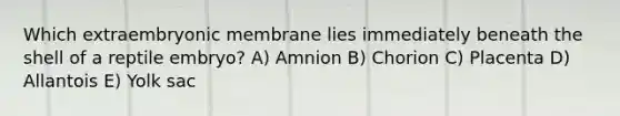 Which extraembryonic membrane lies immediately beneath the shell of a reptile embryo? A) Amnion B) Chorion C) Placenta D) Allantois E) Yolk sac